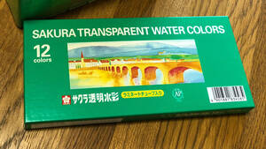 サクラ透明水彩