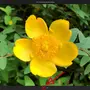 ms-photo_02.webp