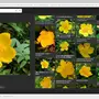 ms-photo_03.webp