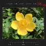 ms-photo_04.webp
