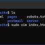 vim_html-edit01.jpg